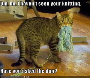 Kitty yarn